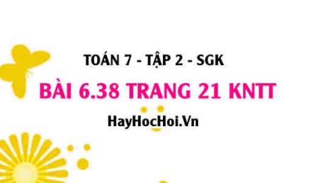 Bài 6.38 trang 21 Toán 7 Tập 2 Kết nối tri thức
